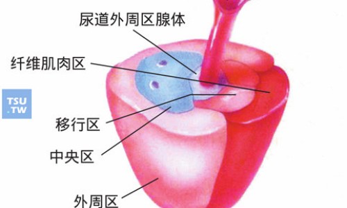 耐信奥美拉唑肠溶胶囊副作用网—知名的耐信奥美拉唑肠溶片一天吃几颗网站,分享耐信奥美拉挫胶囊图片知识